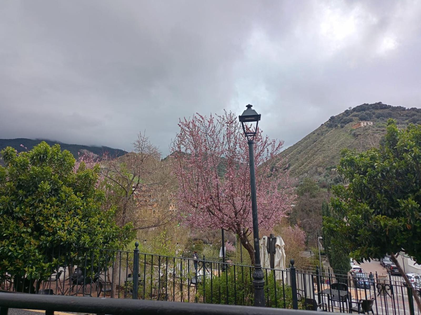 Reyes Monachil Exterior foto